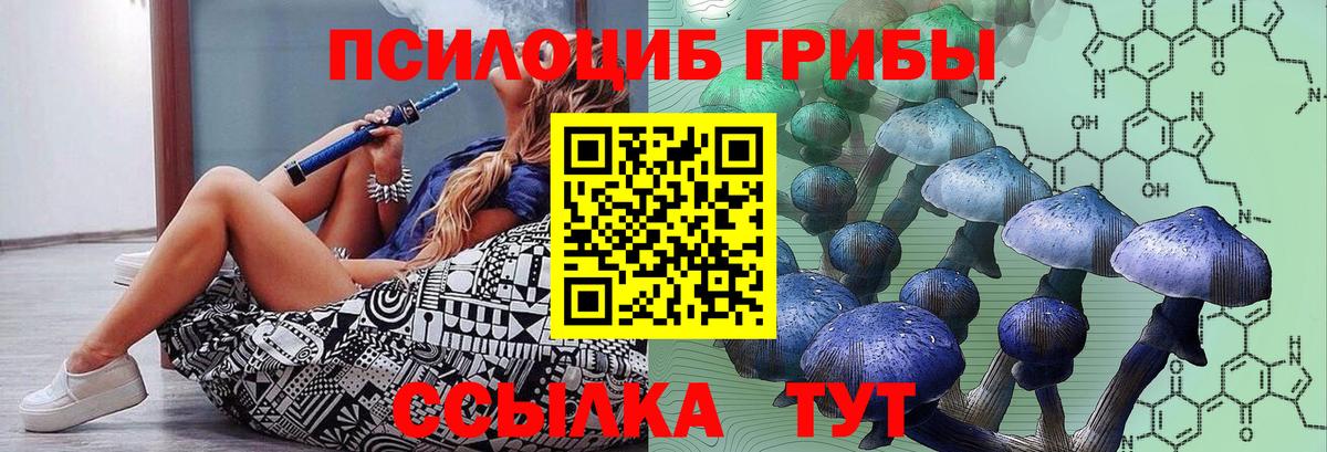 Псилоцибиновые грибы мухоморы Мыски