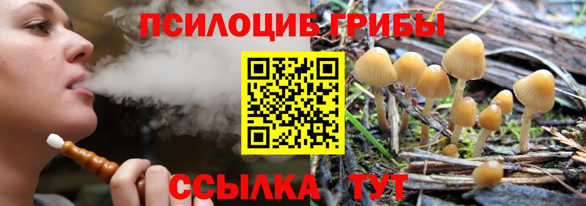 Мыски  Галлюциногенные грибы Psilocybe  Галлюциногенные грибы Psilocybine cubensis  Вход с VPN 
